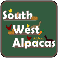 South West Alpacas